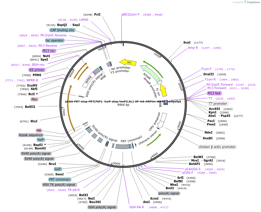391041_map