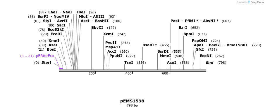 39109_map