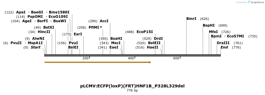 39112_map