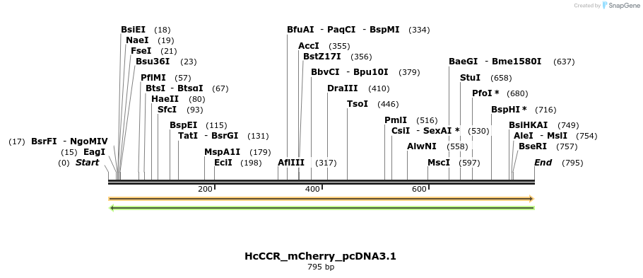 391166_map