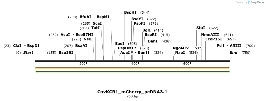 391167_map