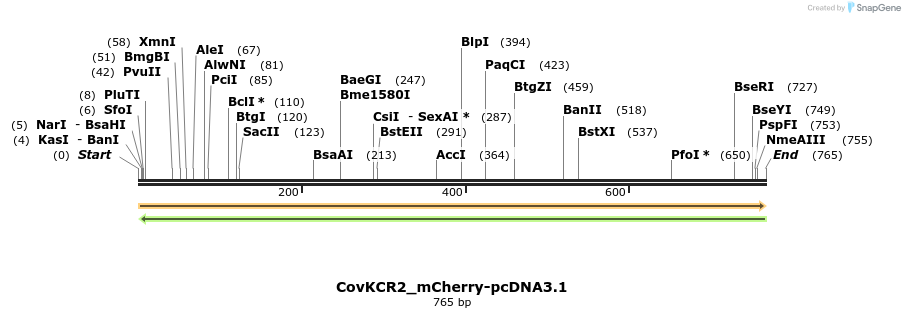 391172_map