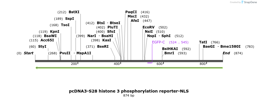 39121_map