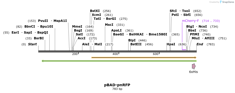 391212_map