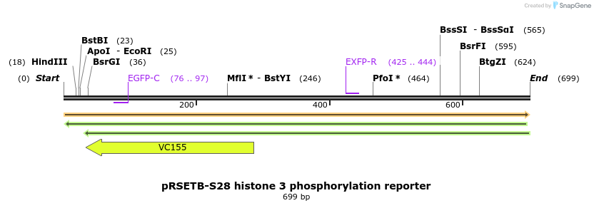 39122_map