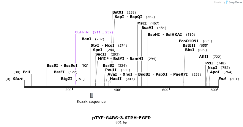 39128_map