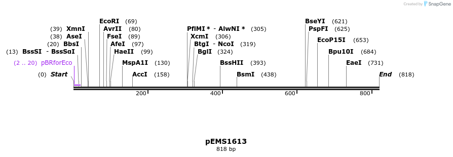 39129_map
