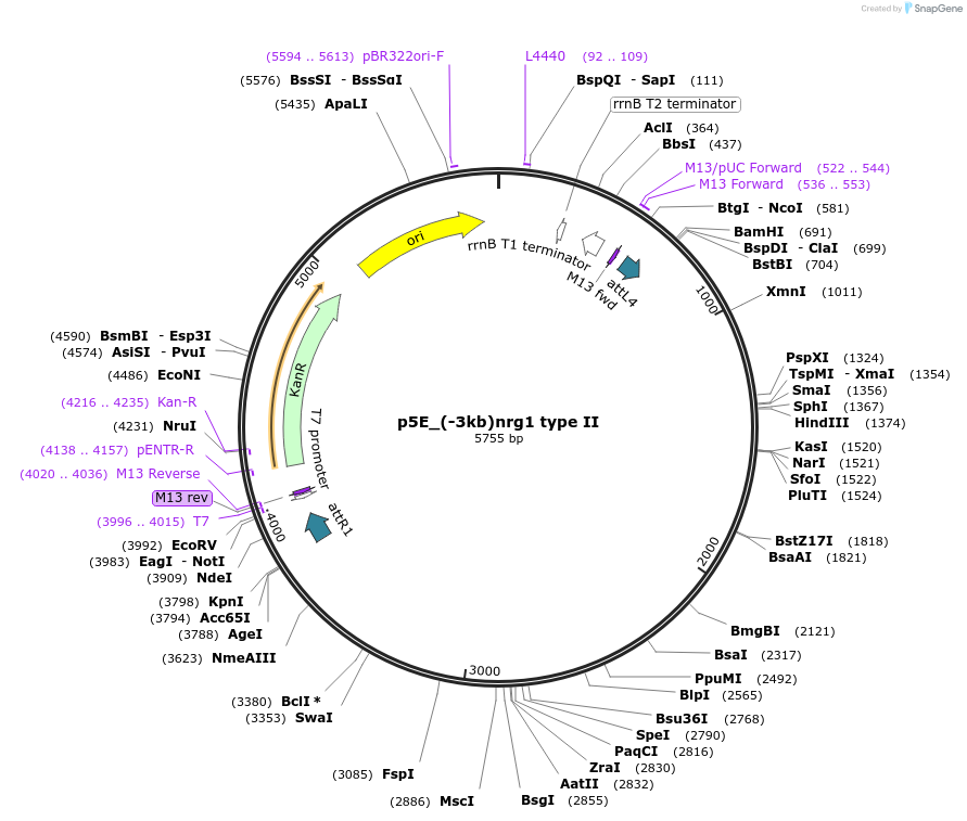 391307_map