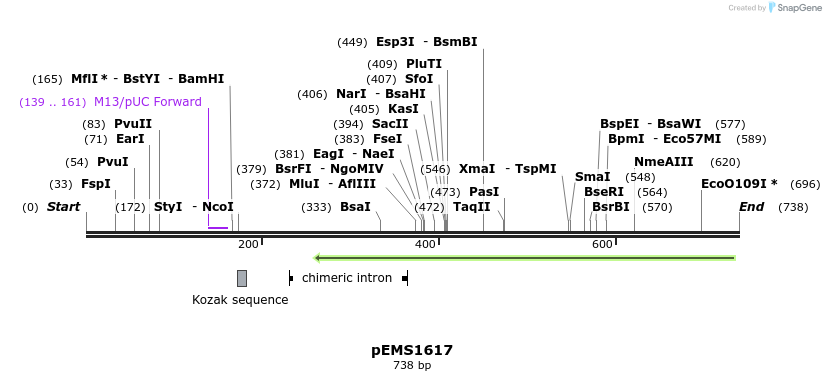39133_map