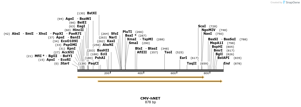 39136_map