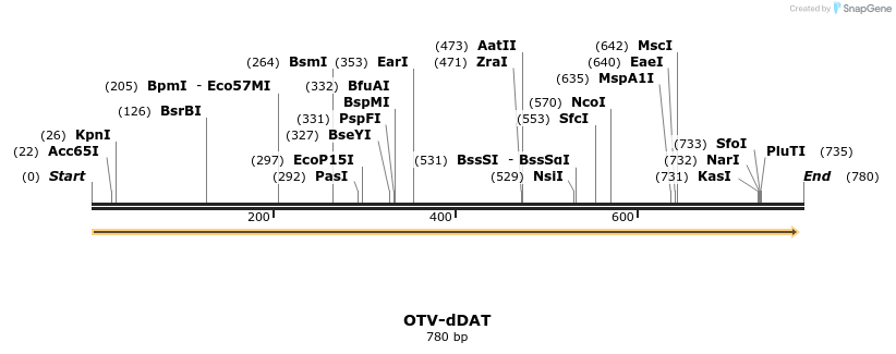 39137_map