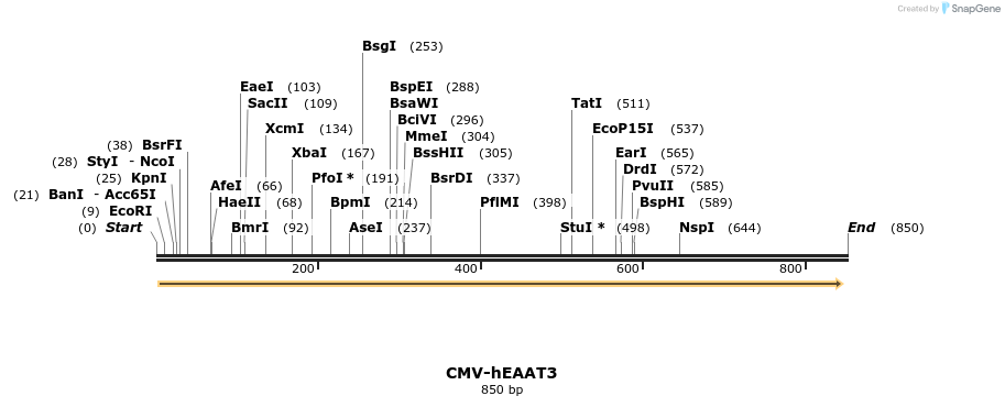 39146_map