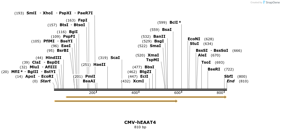 39147_map