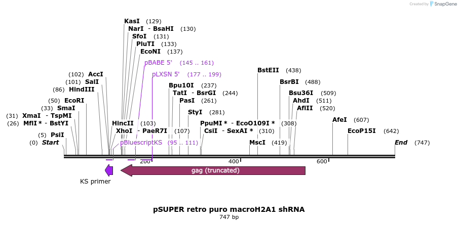 39151_map