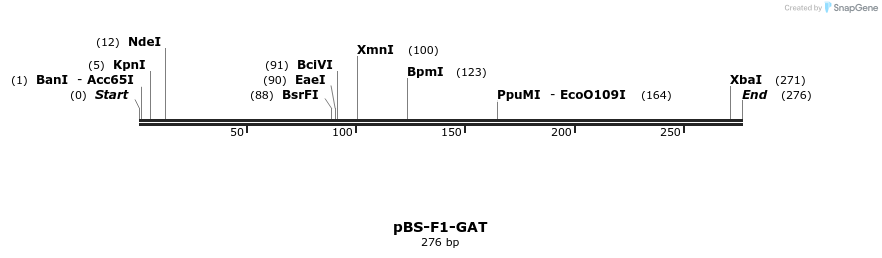 39162_map