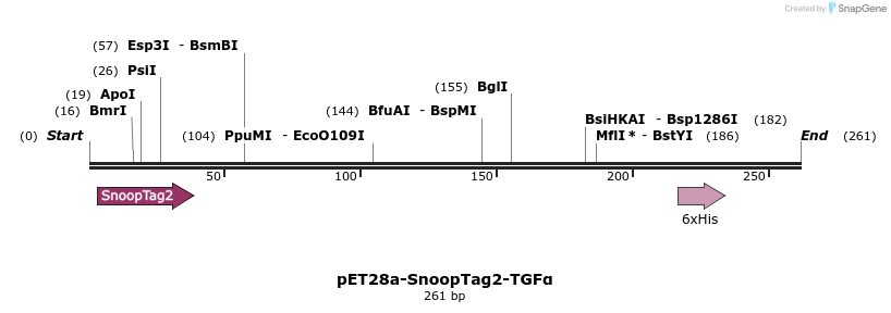 391627_map