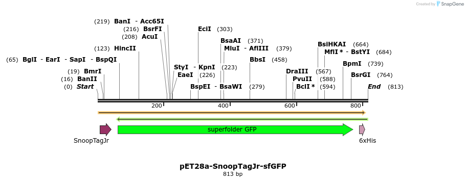391630_map