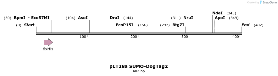 391632_map