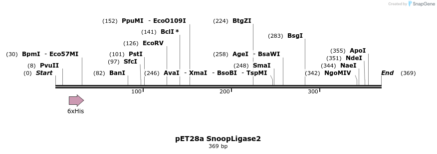 391636_map