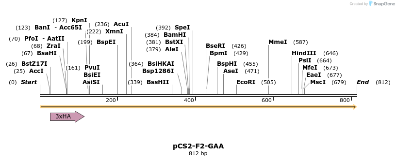 39164_map
