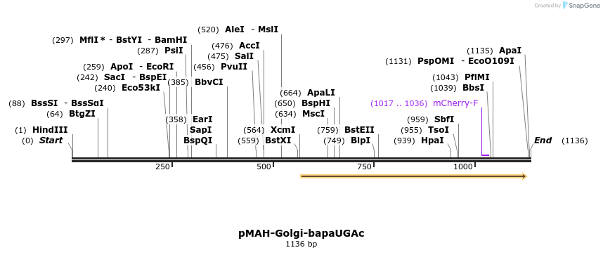 391704_map