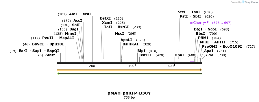 391727_map