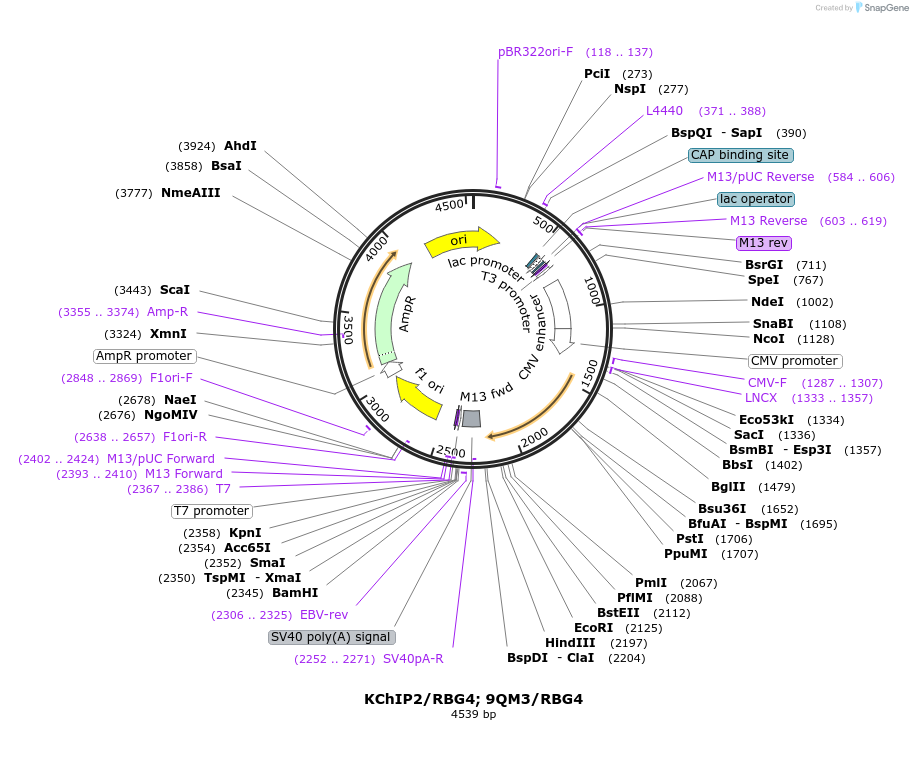 391763_map