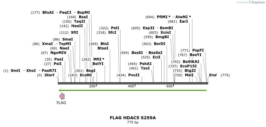 39178_map
