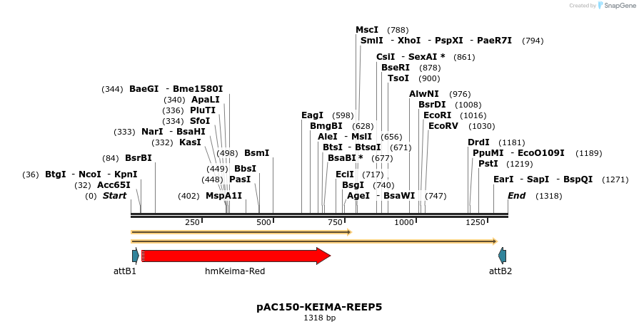 391924_map