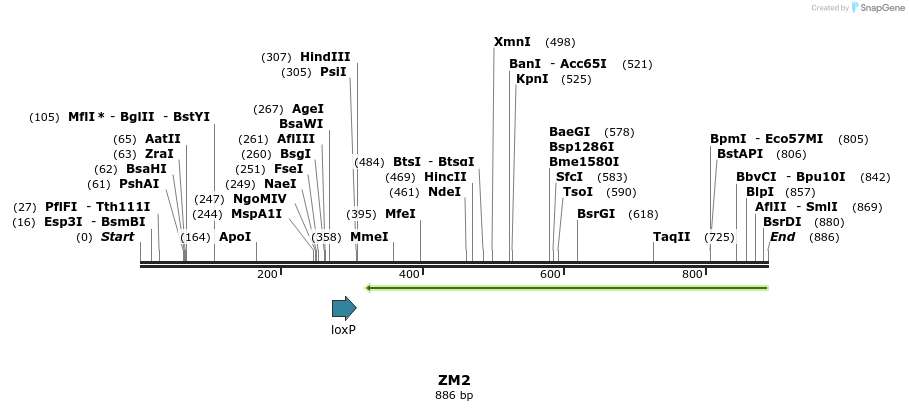 39198_map