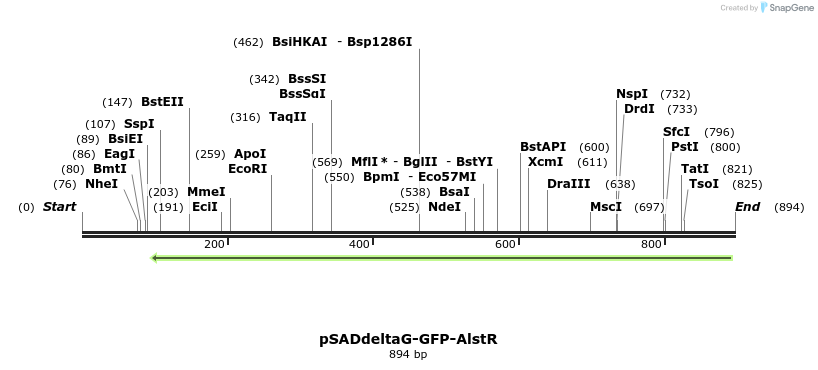 39200_map