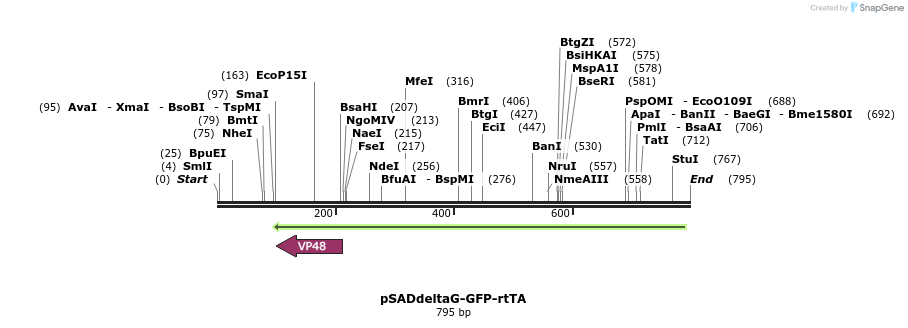 39203_map