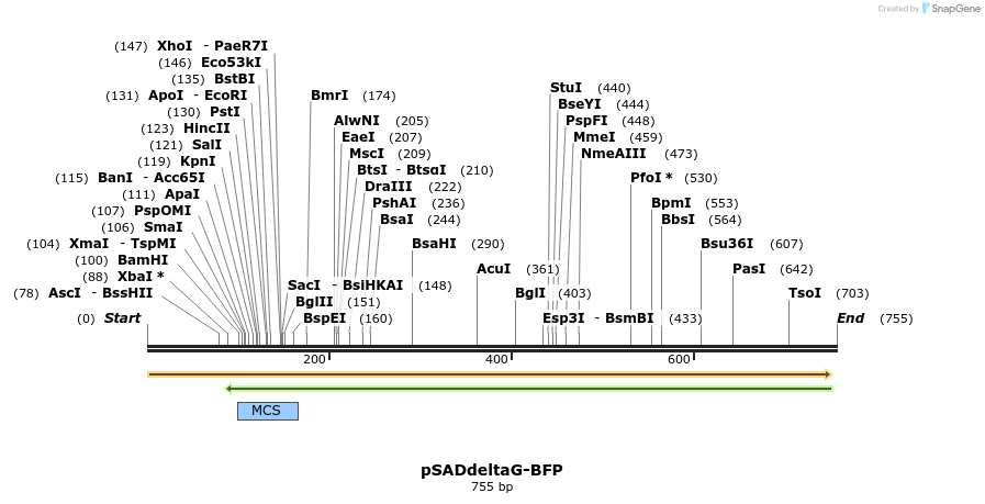 39204_map