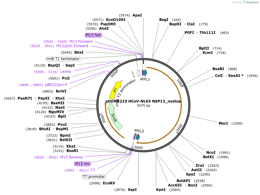392097_map