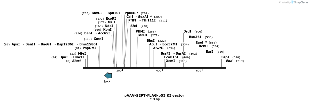 39210_map