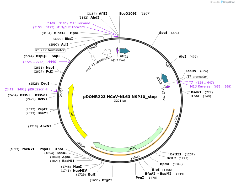 392110_map