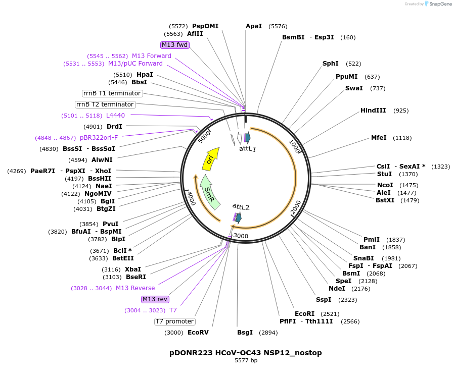 392112_map