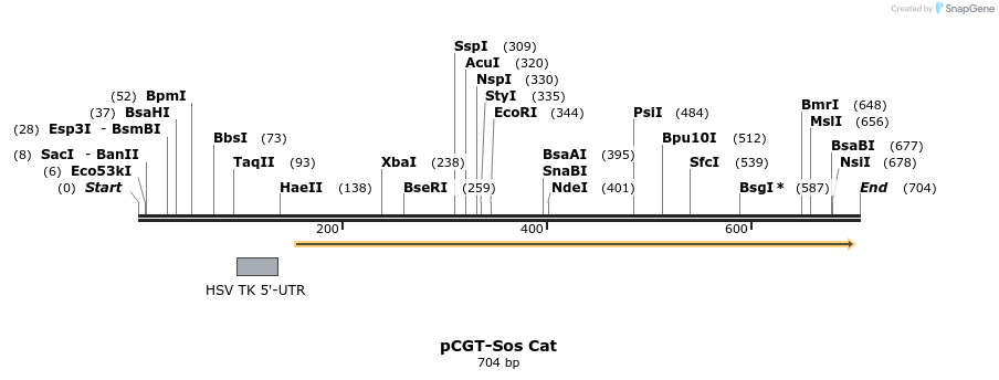 39213_map