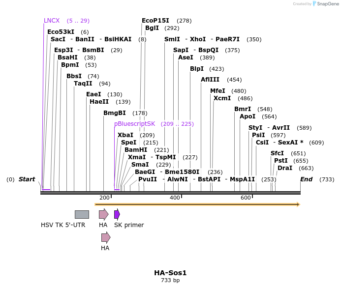 39214_map