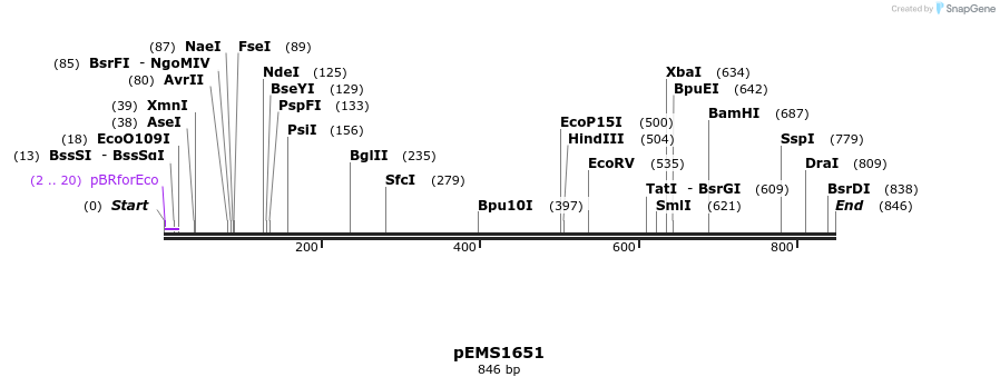 39217_map