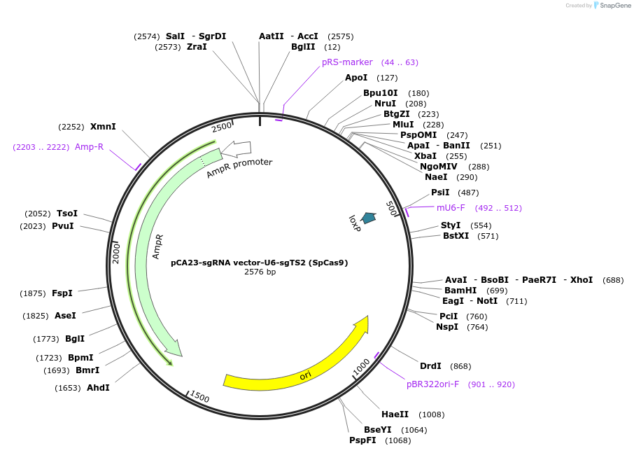392201_map