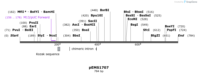 39222_map
