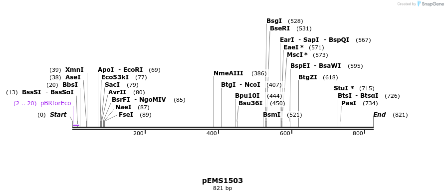 39224_map