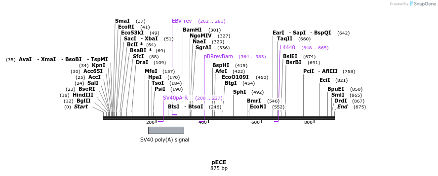 39226_map