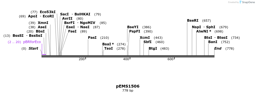 39228_map