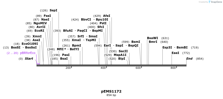 39231_map