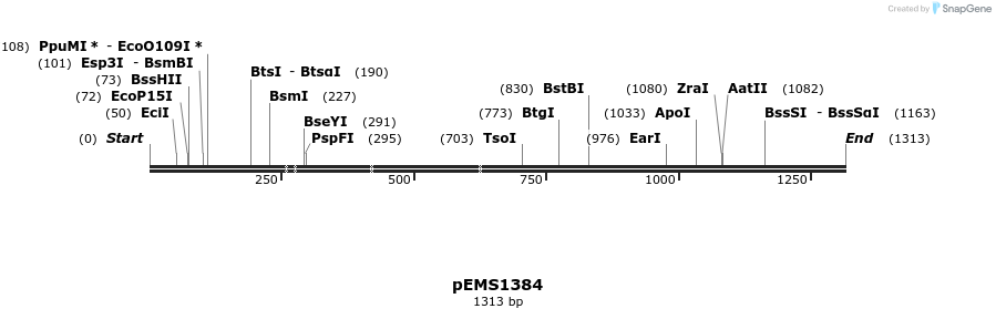 39234_map