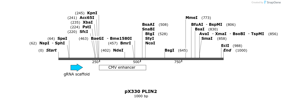 392365_map