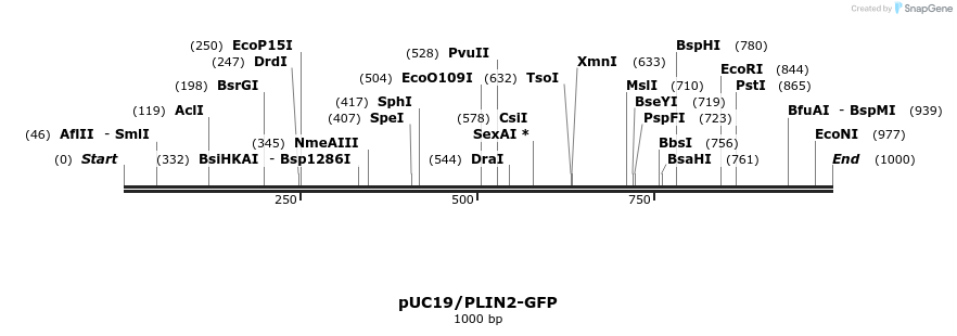 392368_map