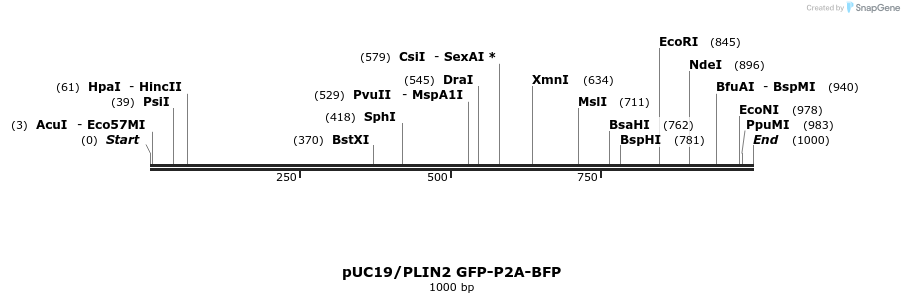 392371_map